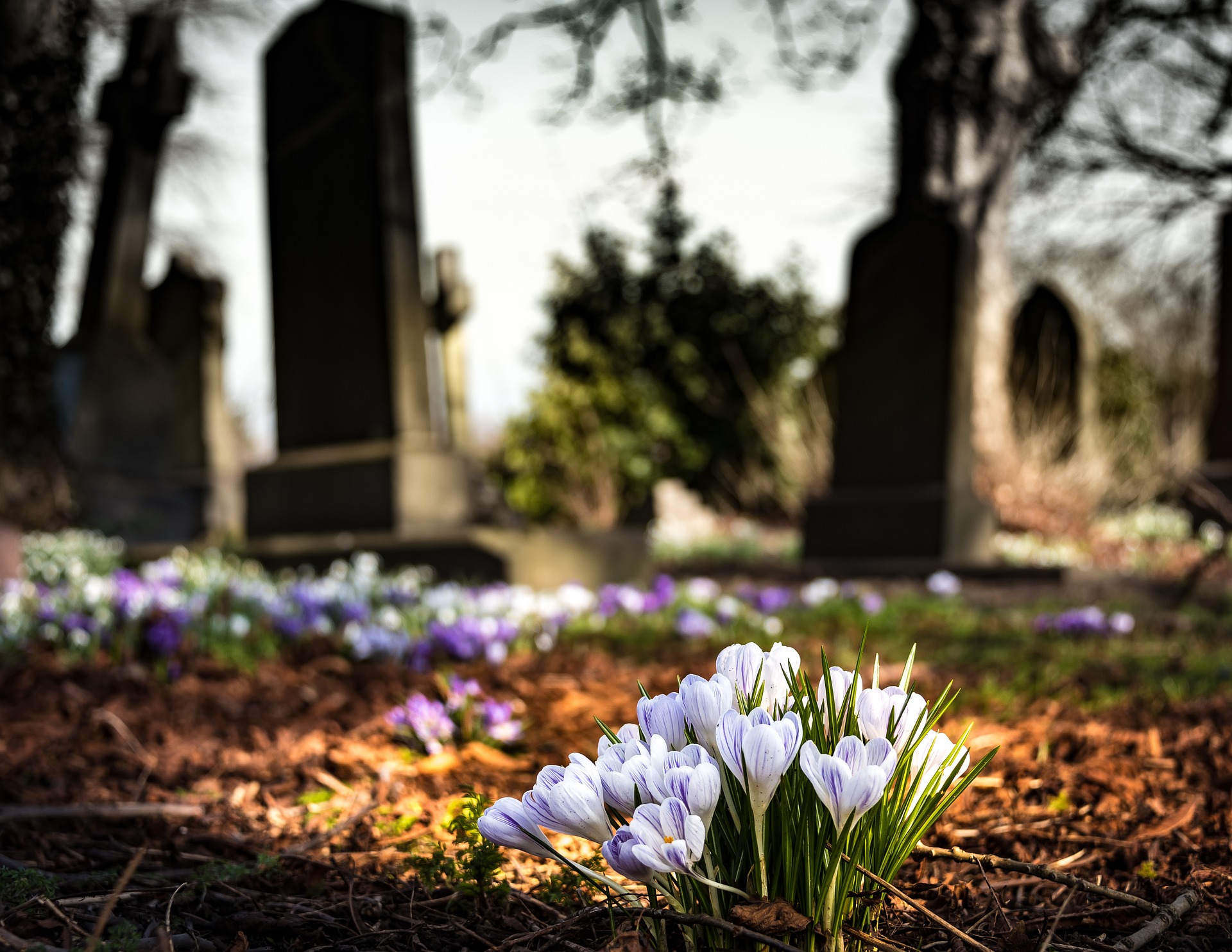 Grieving the Loss of a Family Member/Loved One: How to Cope, and How to Incorporate Their Memory into What You Do Going Forward (French version available)