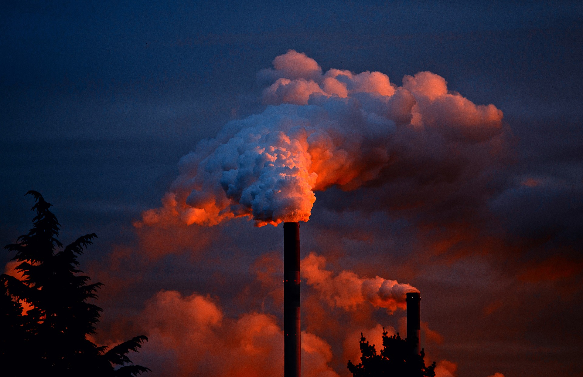 Mental health issues caused by climate and ecological issues