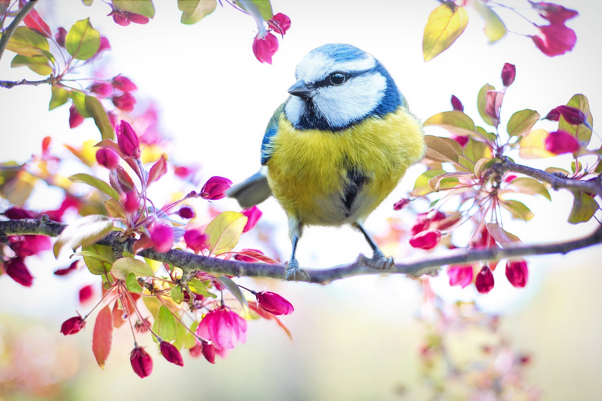 Happy First Day of Spring!