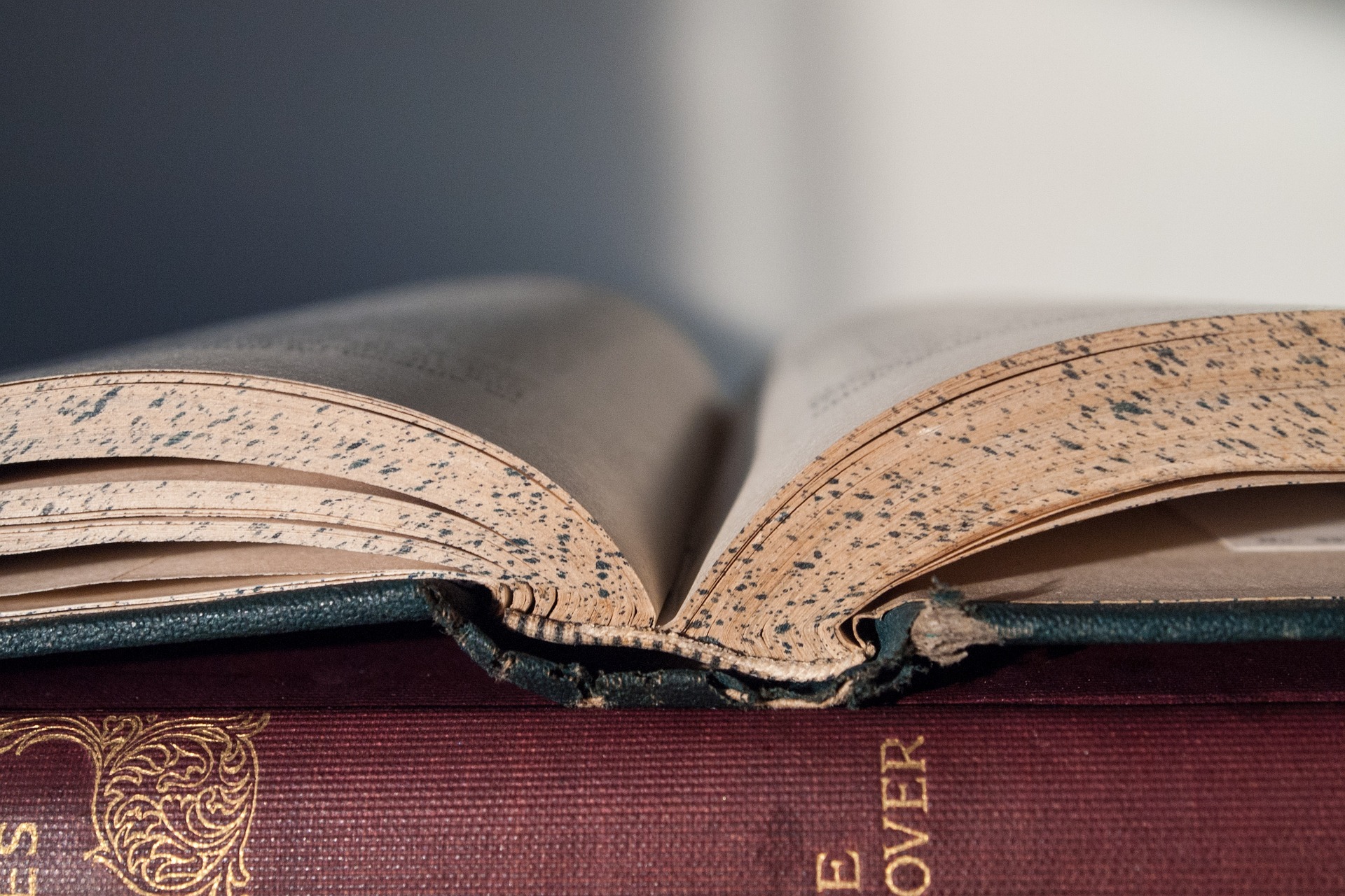 Career Profile: Bindery Worker