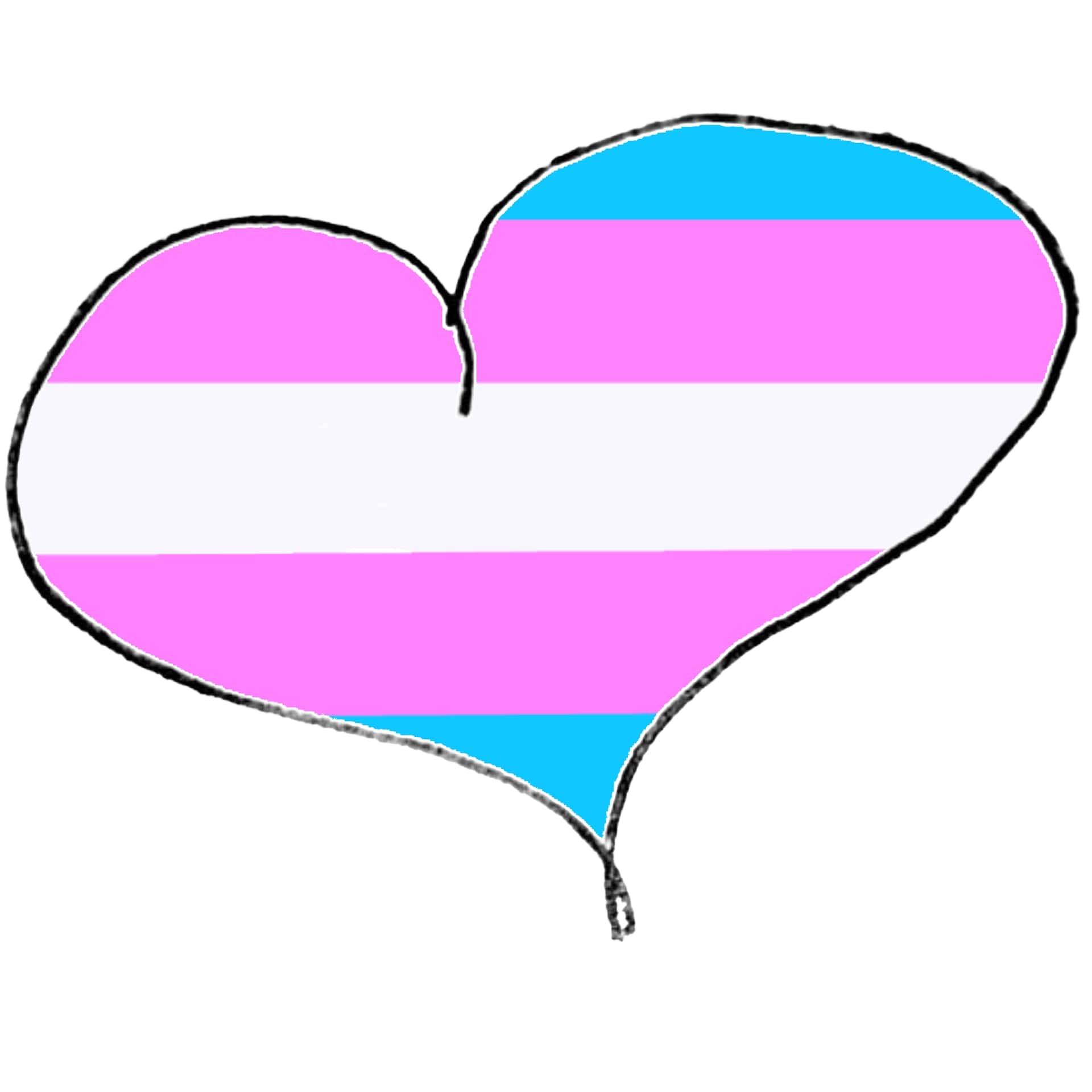 Transphobia in Canada: A look into the issue, and what must be done.
