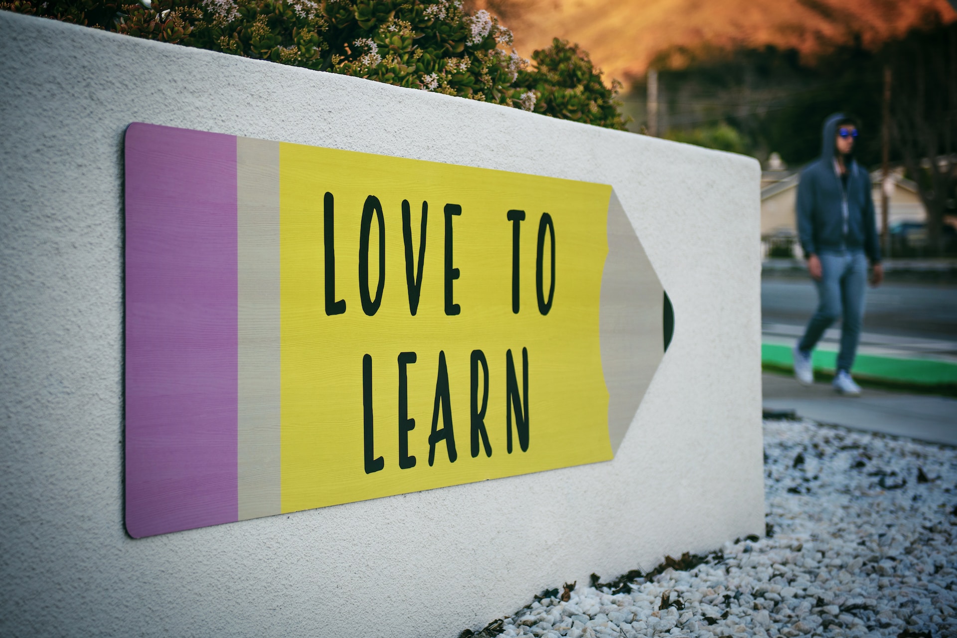 Exploring Non-Degree Education Options in Canada