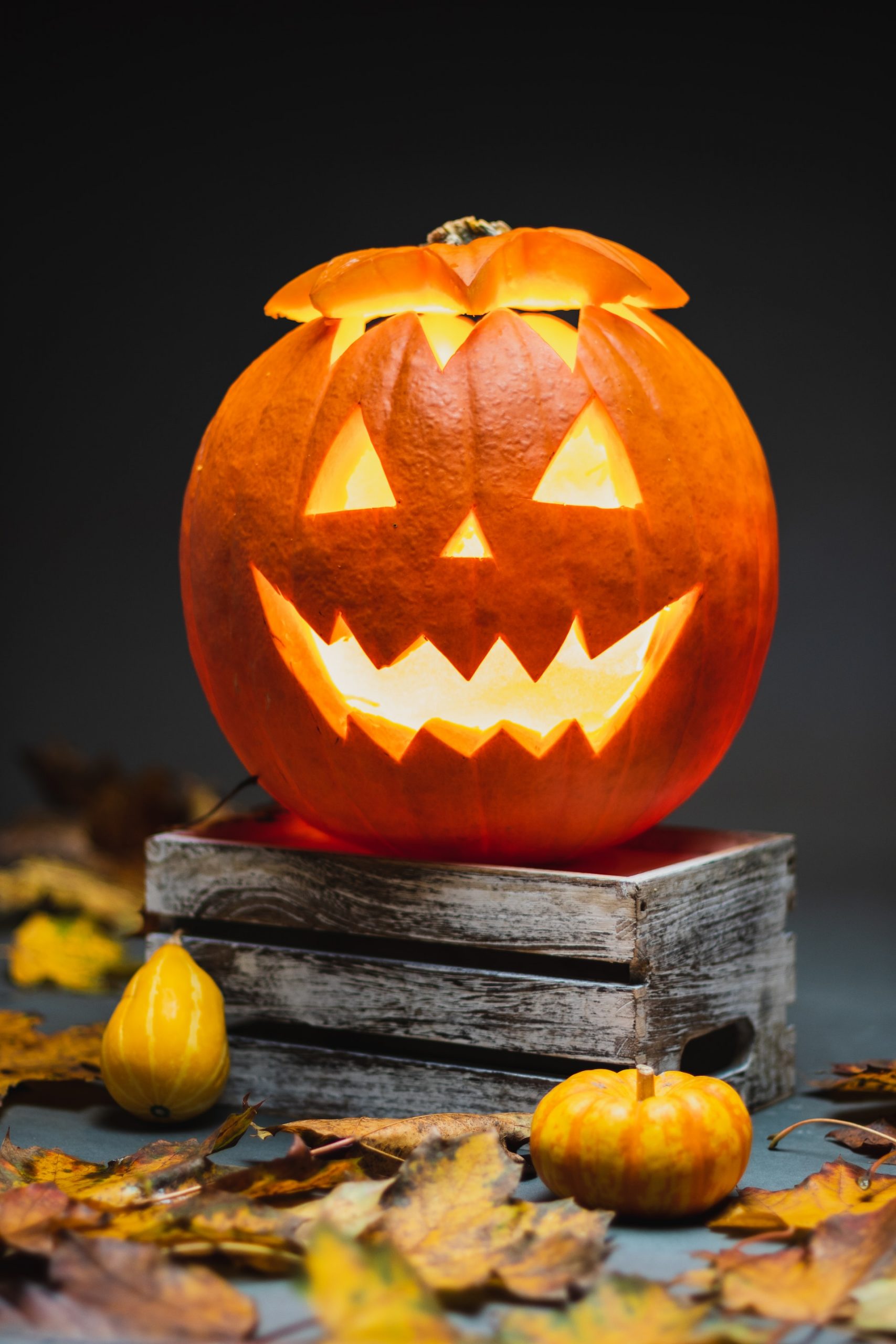 Happy Spooky Season!