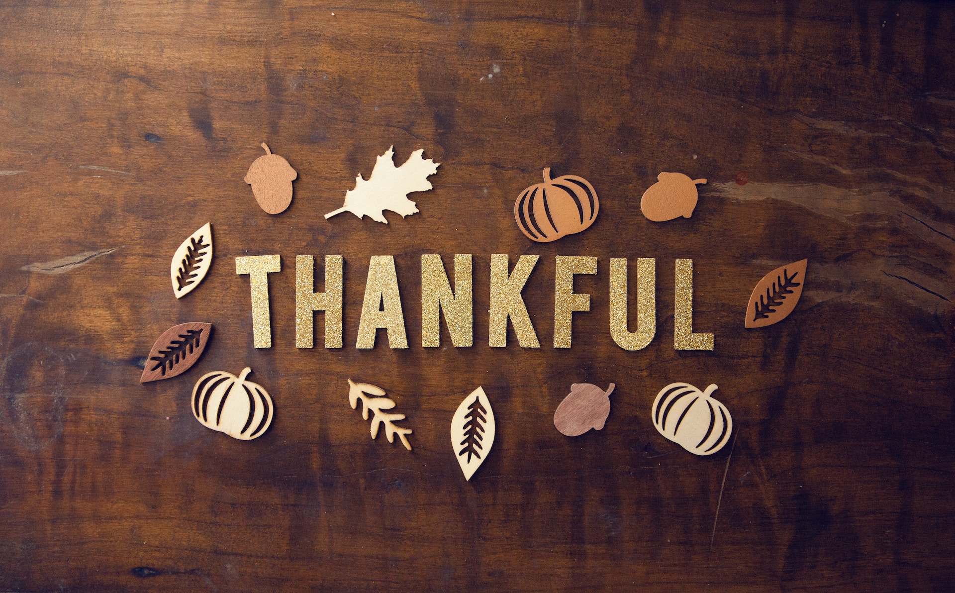 Happy Thanksgiving from JPD!