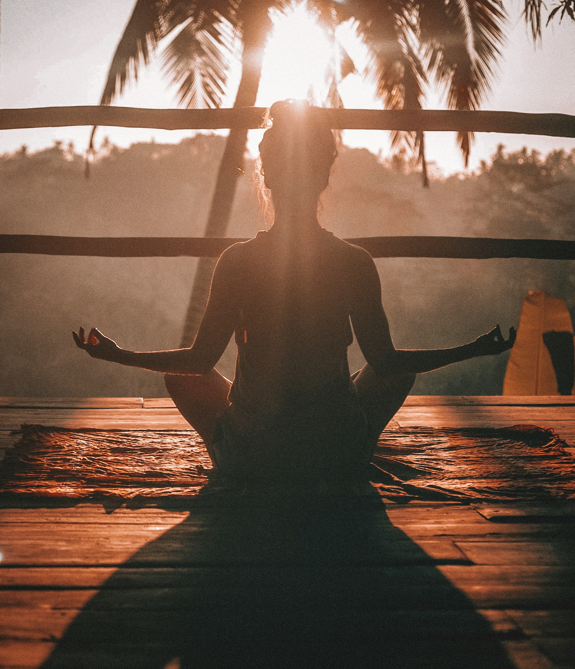 The Connection Between Physical Health and Mental Health