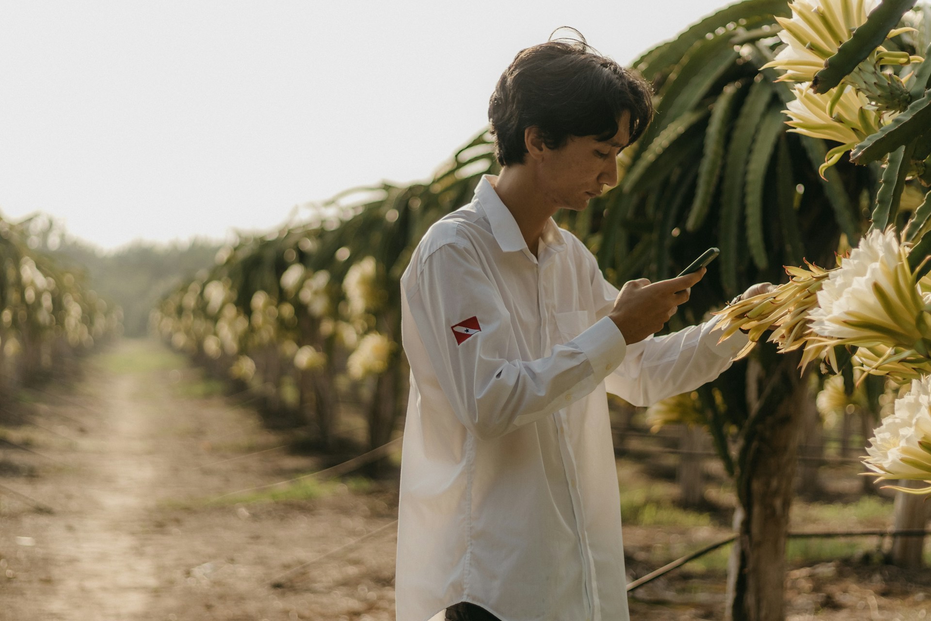 Career Profile: Agricultural Engineer