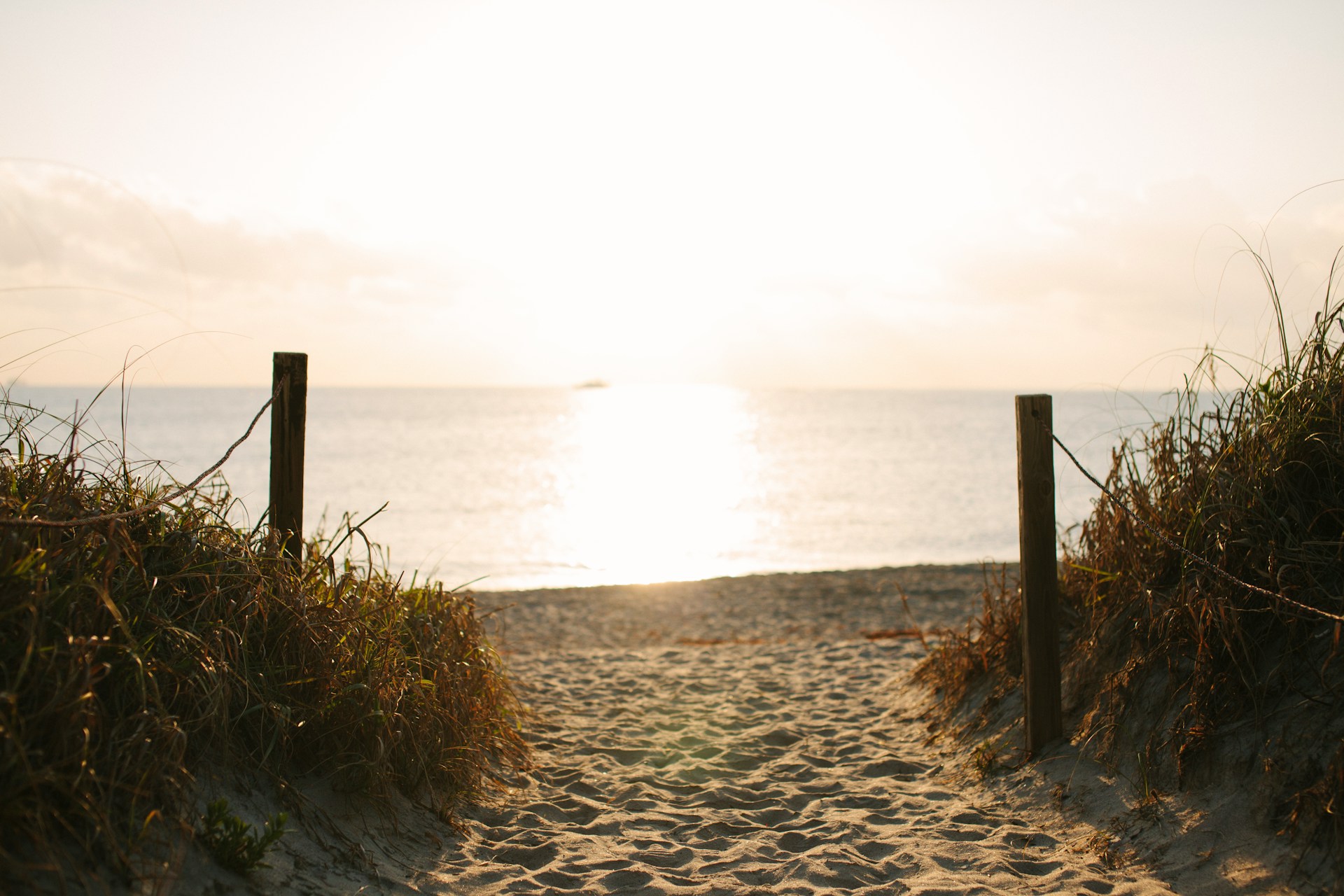 Have a wonderful summer!