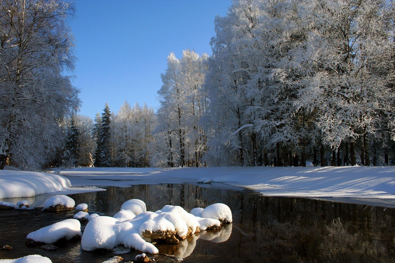 Black History, Winter Blues, and Family Day… All in the Shortest Month!