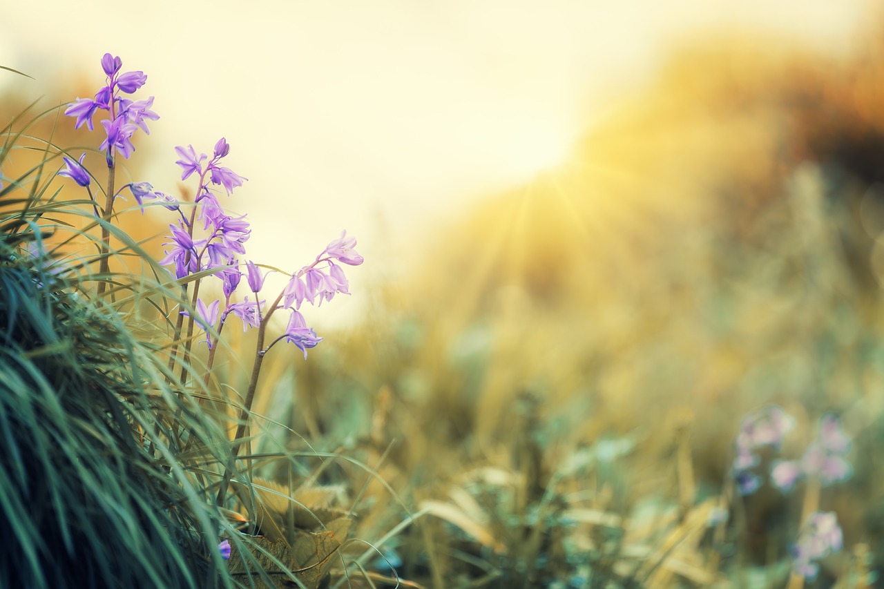 Spring Ahead!